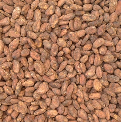 Tanzania - Direct Trade/Organic - 2024 - Image 2