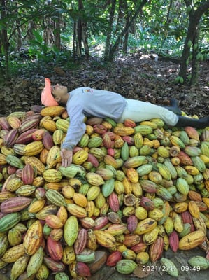 Venezuela Ocumare 2021 - Direct Trade - Image 5