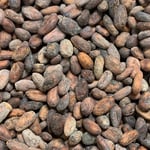 Bolivia Wild Harvest Itenez Direct Trade 2021