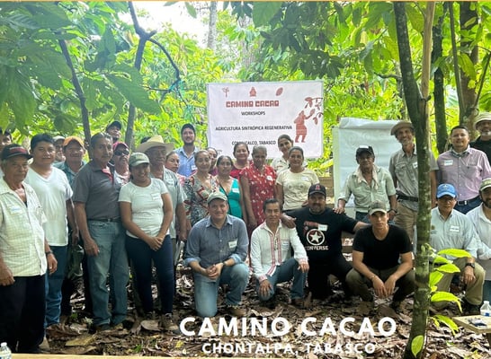 Mexico Camino Cacao - Direct Trade - 2023 - Image 2