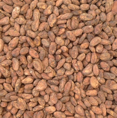 Tanzania - Direct Trade/Organic - 2022 - Image 2