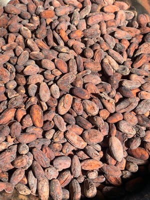 Bolivia - Wild Harvest Tranquilidad Direct Trade  2022 - Image 2