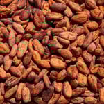 Philippines Davao de Oro Organic 2023