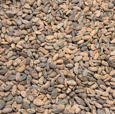 Guatemala - Monte Grande  - 2018 - Image 2