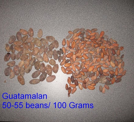 Guatamalan 2010/11 - Roasted - Image 2