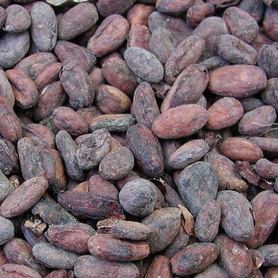 Venezuelan Patanemo - 2013 - Image 1