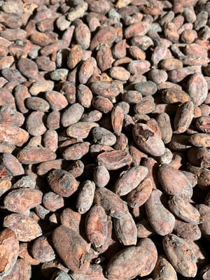 Peru Sisa Direct Trade 2024 - Image 1