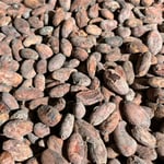 Peru Sisa Direct Trade 2024