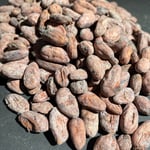 Fiji Rakiraki- Direct Trade - 2023