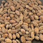 Bolivia - Alto Beni Walikeewa - 2023 - Organic