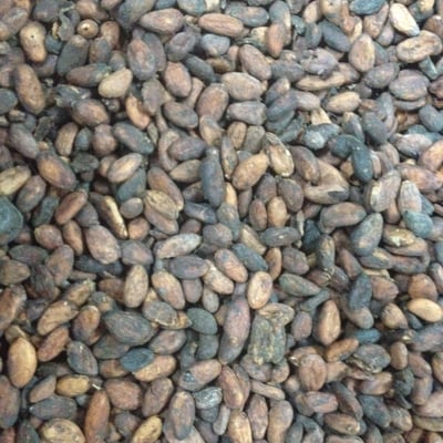 Ivory Coast - RFA - 2019/20 - Image 1