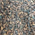 Ivory Coast - RFA - 2019/20