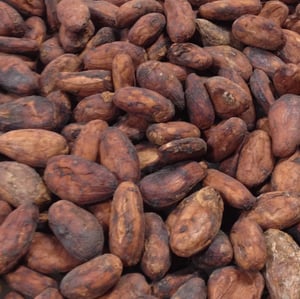 Uganda Semuliki Forest 2022 Direct Trade Organic