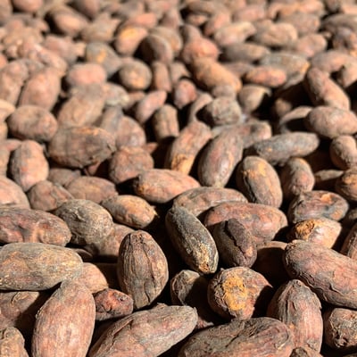 Peru Awajún Direct Trade Organic 2024  - Image 8