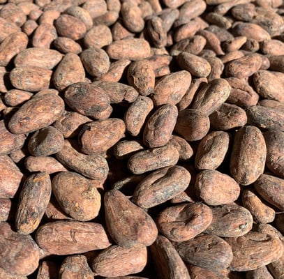 Mexico Camino Cacao - Direct Trade - 2023 - Image 3