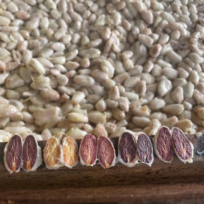 Peru Piura Blanco 2022 Organic - Image 6