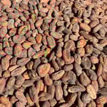 Peru Chuncho  Organic - Direct Trade - 2024