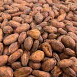 Mexico Rio Samaria Cunduacán Direct Trade 2024