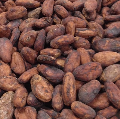 Ecuador Costa Esmeraldas 2021 Direct Trade - Image 1