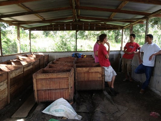 Nicaragua Bisiesto Criollo 2022 - Image 5