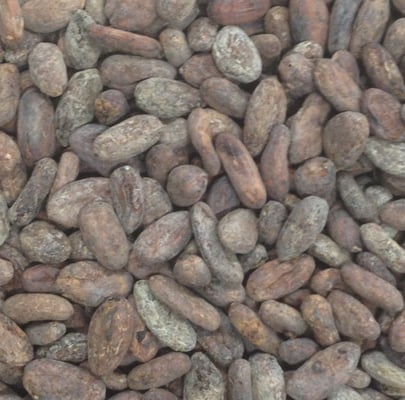 Dominican Republic Zorzal Direct trade Organic 2018 - Image 1