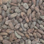 Dominican Republic Zorzal Direct trade Organic 2018