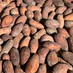 Bolivia - Heirloom #1 2022 - Direct Trade