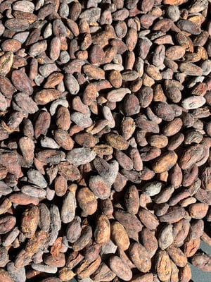 Peru Pangoa Organic 2024 - Image 3