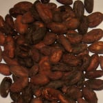 Venezuelan Amazonas - 2012