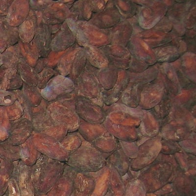 Dominican Republic 'La Red' - Organic 2011 - Image 1