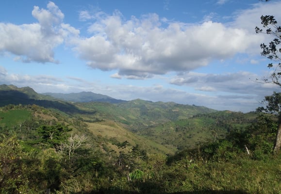 Nicaragua Bisiesto Criollo 2022 - Image 7