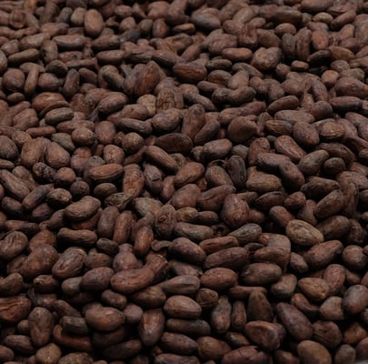 Mexico Tabasco - Direct Trade - 2018 - Image 1