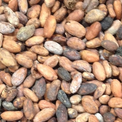 Peru Superior FT/Organic - 2016/17 - Image 1