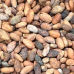 Peru Superior FT/Organic - 2016/17