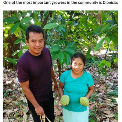 Mexican Ceremonial Cacao Santana 2024 - Image 8