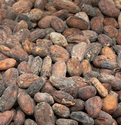 Thailand - Chaisutti Farm 2023 - Image 4