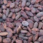 Venezuelan Ocumare - 2016