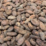 Colombia - Tumaco 2021