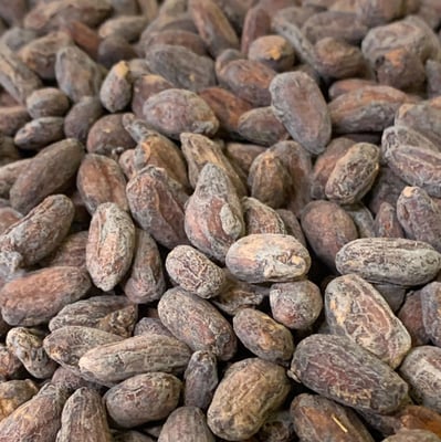 Bolivia Wild Harvest Tranquilidad Direct Trade 2025 - Image 2