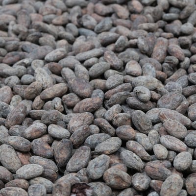 Vietnam Dak Lak 2018 Direct Trade - Image 1