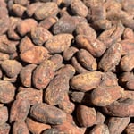 Tanzania - Direct Trade/Organic - 2022