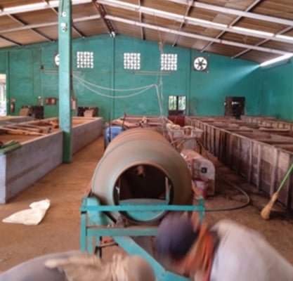 Mexico Rio Samaria Cunduacán Direct Trade 2024 - Image 11