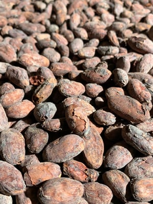 Peru Sisa Direct Trade 2024 - Image 3