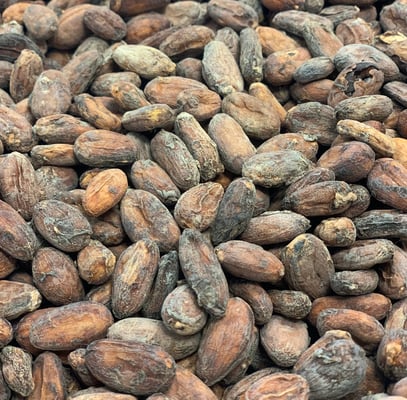 Thailand - Chaisutti Farm 2023 - Image 6