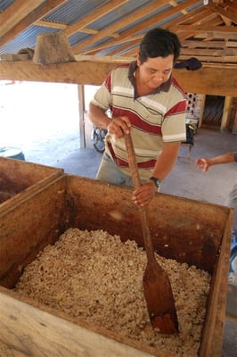 Bolivia - Wild Harvest Direct Trade Rio Beni - 2022 - Image 6