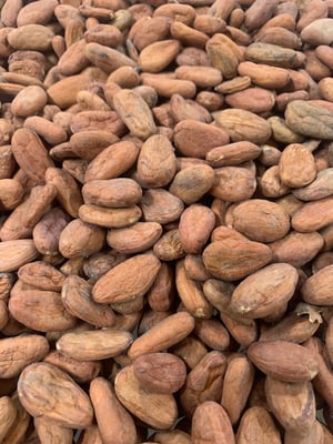 Mexican Lavados (washed / unfermented) Tecpatán 2021 - Image 1