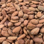 Mexican Lavados (washed / unfermented) Tecpatán 2021