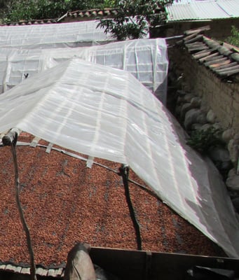 Peru Chililique - Organic - 2017 - Image 3