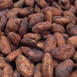 Uganda  Esco Organic 2018/19