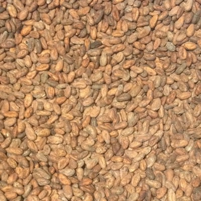 Fiji Rakiraki - Direct Trade - 2018 - Image 3